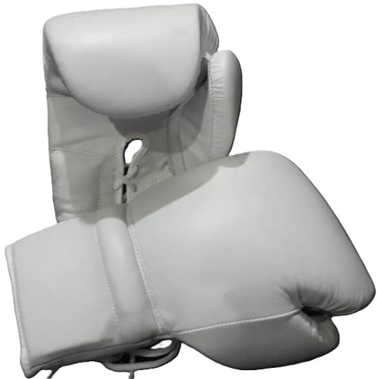 RAY'S LEATHER BOXING GLOVES/FOR TRAINING AND TOURNAMENTS  (Strap-Up)