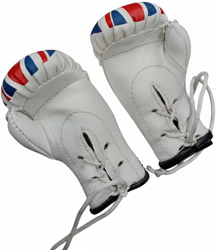 Costum Made Hanging Chain Boxing Gloves for PERMOTIONS, QUAINTITY 50 Pairs