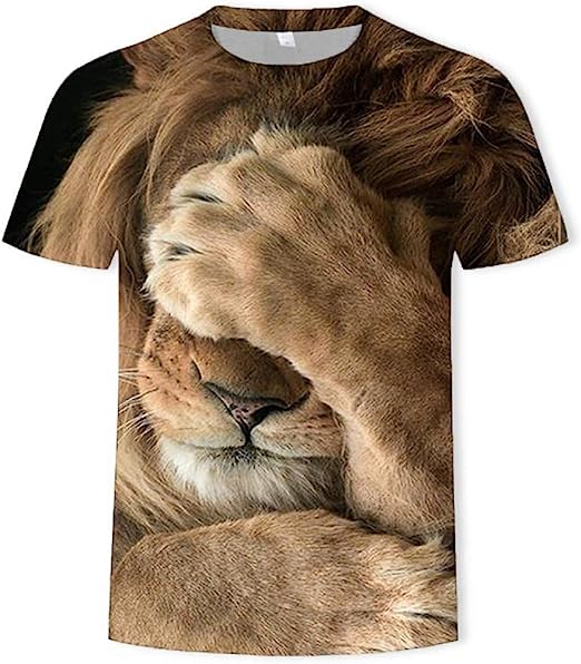 RAYS T-SHIRTSRAY'S Mens Women Shirts 3D Printed T-Shirt Unisex Casual | Creative Print Crewneck Graphics