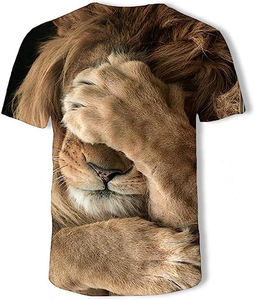 RAYS T-SHIRTSRAY'S Mens Women Shirts 3D Printed T-Shirt Unisex Casual | Creative Print Crewneck Graphics
